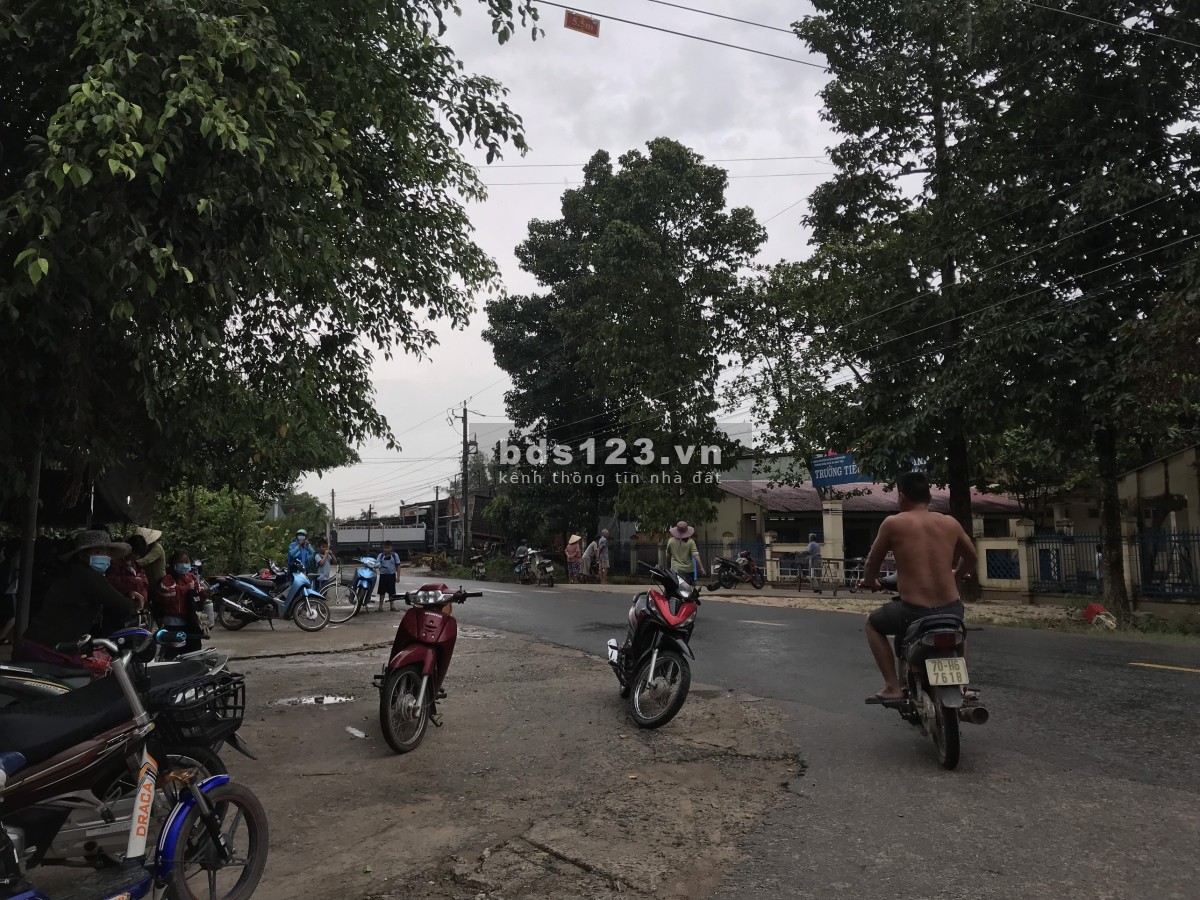 Đất nền Dương Minh Châu Tây Nình, đầu tư sinh lợi lớn giá tốt