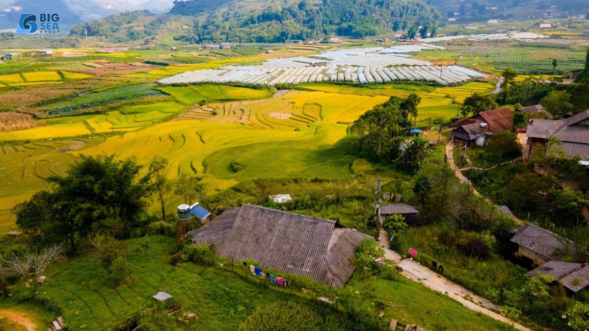 Bán Đất Sapa View Ruộng Bậc Thang Siêu Đẹp đất nền sapa