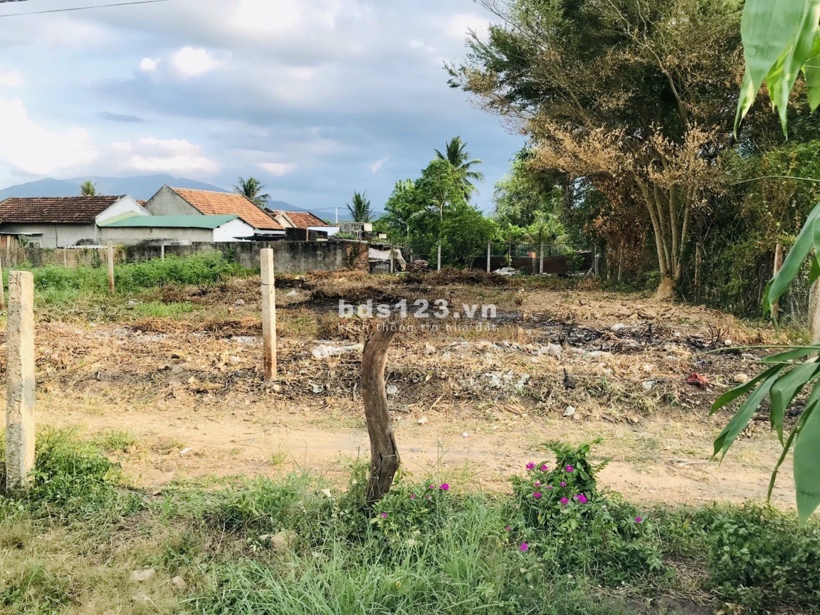 Cần Bán Lô Đất Tân Mỹ, Ninh Xuân - gần cụm khu công nghiệp