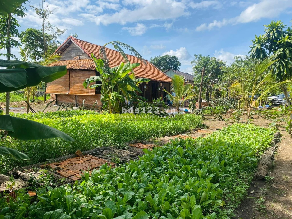 Nhà vườn 3,6 sào thổ cư diện tích sử dụng 400m2 giá 2 Tỷ 650 Triệu