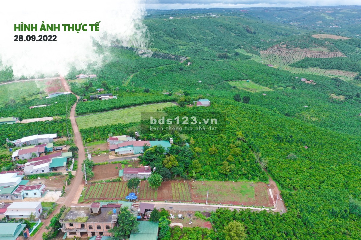 Đất Bảo Lộc diện tích 6x20 đã có sổ giá 800 triệu, sổ hồng riêng