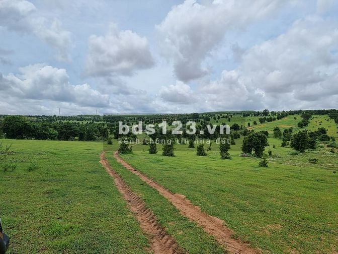 Bán đất thị trấn Chợ Lầu, dt nhỏ vuông đẹp gần Liên Huyện, giá từ 160 nghìn/m2, lh 0566666688