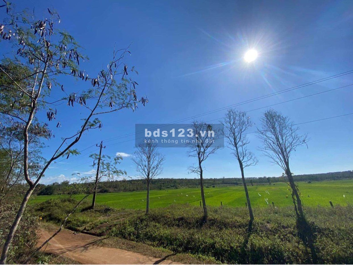 Ngộp tiền cần ra gấp lô đất diện tích 800m2 tại Buôn Hồ Dak Lak, lh 0898728789