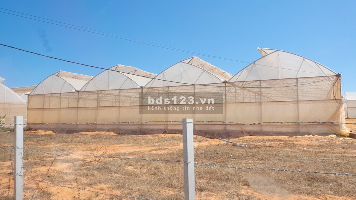 Bán lô đất vườn 10.480 m2, sổ đỏ, Hoà Thắng, Bắc Bình, Bình Thuận, giá 210.000đ/m2