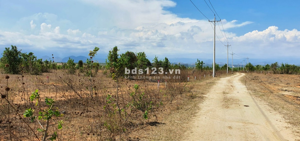 Bán lô đất vườn 10.480 m2, sổ đỏ, Hoà Thắng, Bắc Bình, Bình Thuận, giá 210.000đ/m2