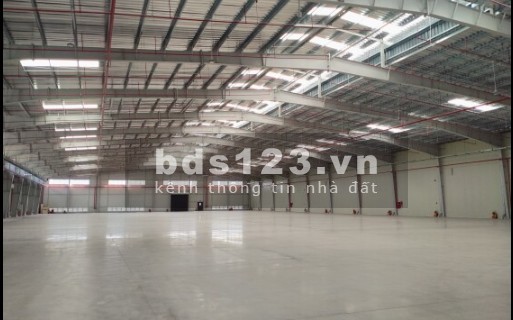 Cần cho thuê xưởng sản xuất Long An, giá tốt, nhà bê tông sạch sẽ