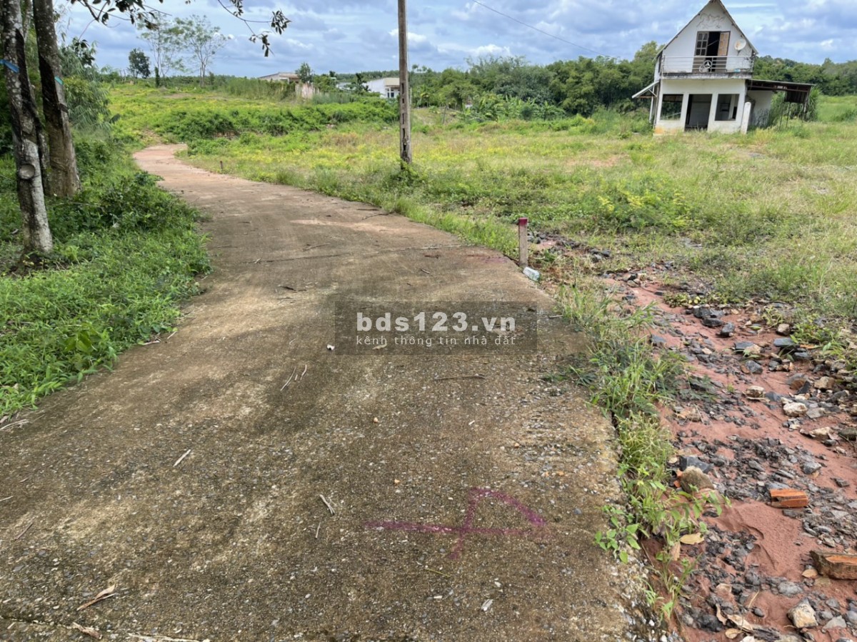 Bán Đất Sào 2MT 54x30m gần chợ Cây Điệp giá 80tr/m ngang
