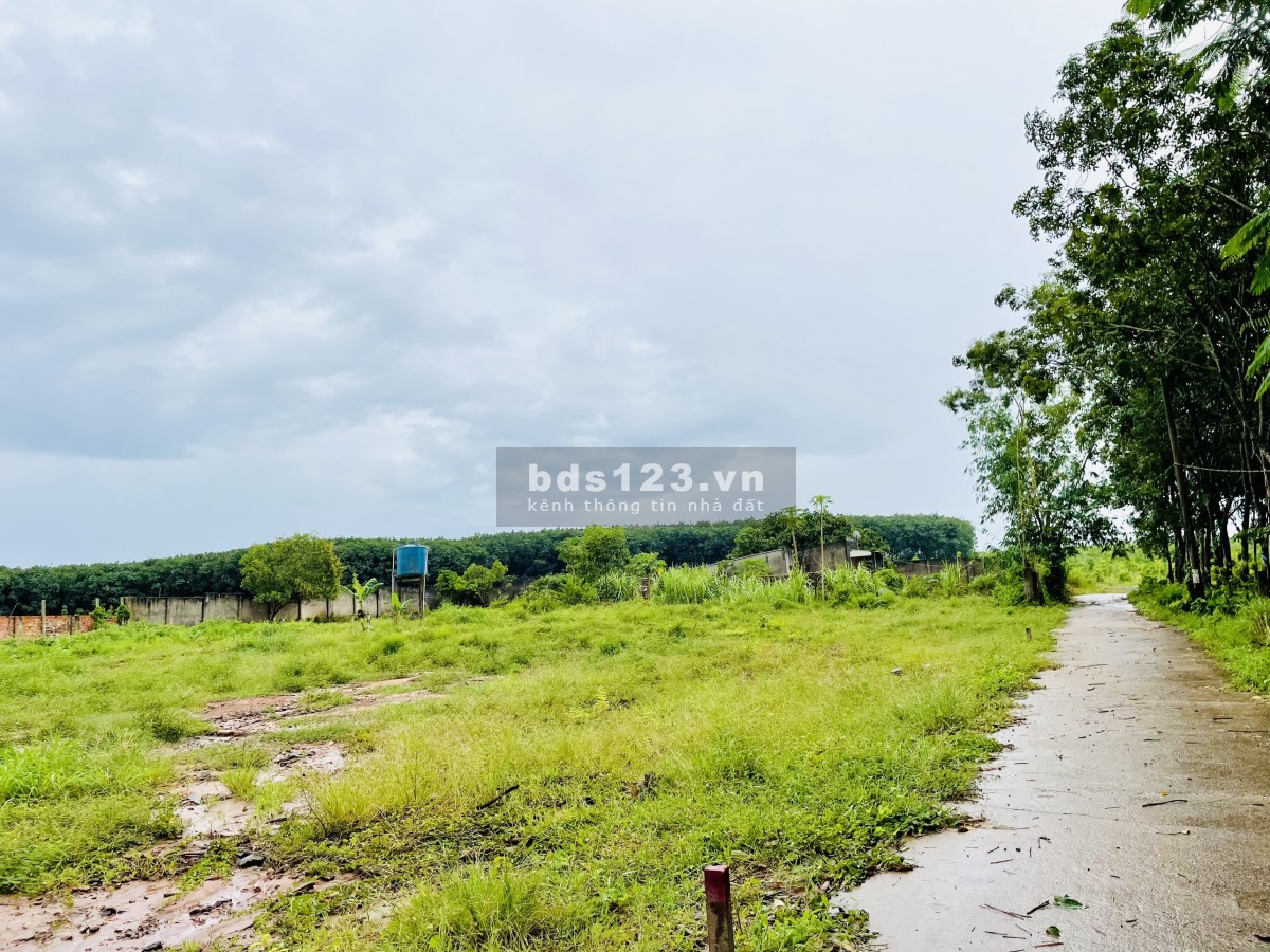 Bán Đất Sào 2MT 54x30m gần chợ Cây Điệp giá 80tr/m ngang