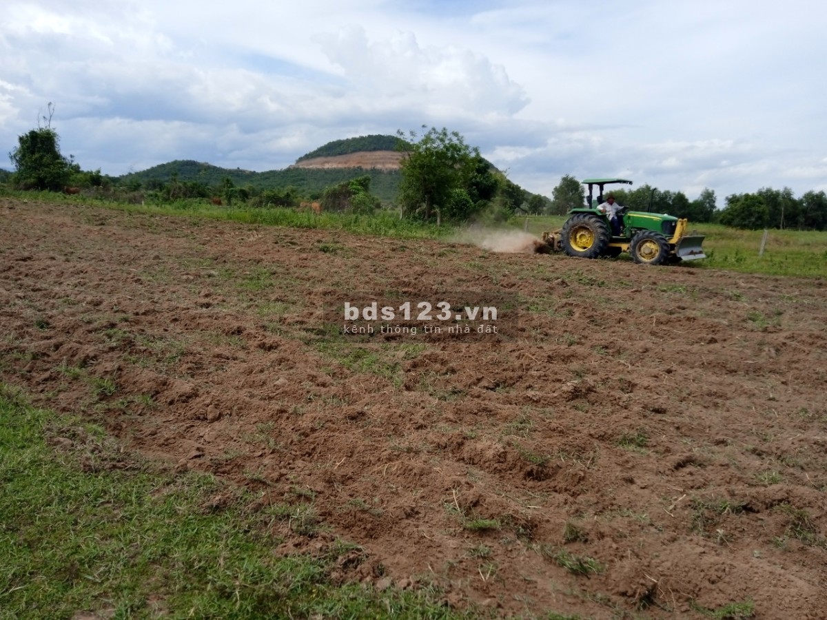 Bán rẻ lô đất 5458m2 Hồng Liêm, Mặt tiền đường có thể hiện trên sổ, kế bên KDL Safari 3300ha