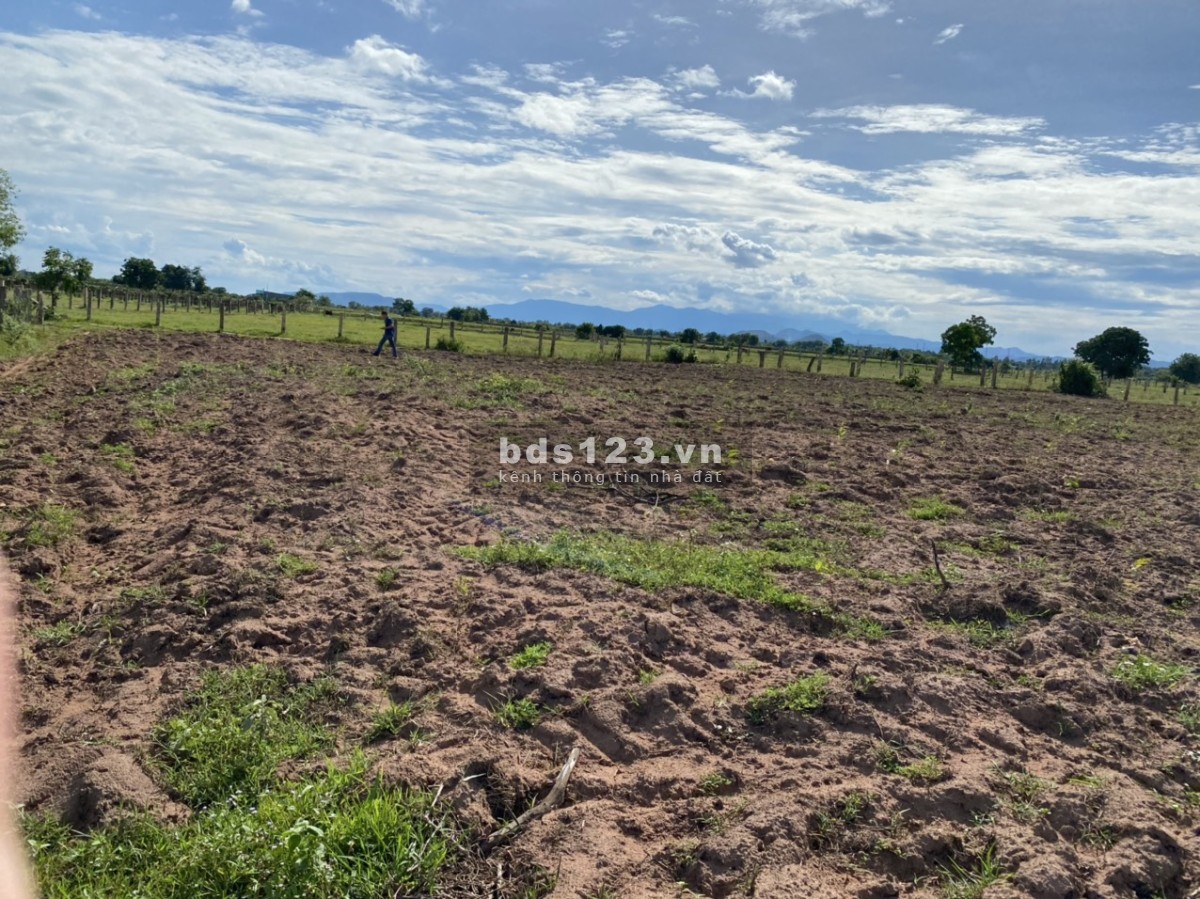 Bán rẻ lô đất 5458m2 Hồng Liêm, Mặt tiền đường có thể hiện trên sổ, kế bên KDL Safari 3300ha