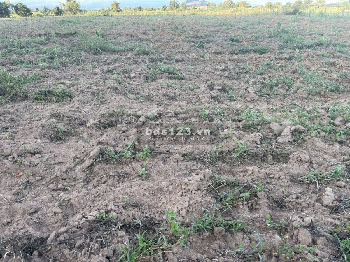 Bán rẻ lô đất 5458m2 Hồng Liêm, Mặt tiền đường có thể hiện trên sổ, kế bên KDL Safari 3300ha
