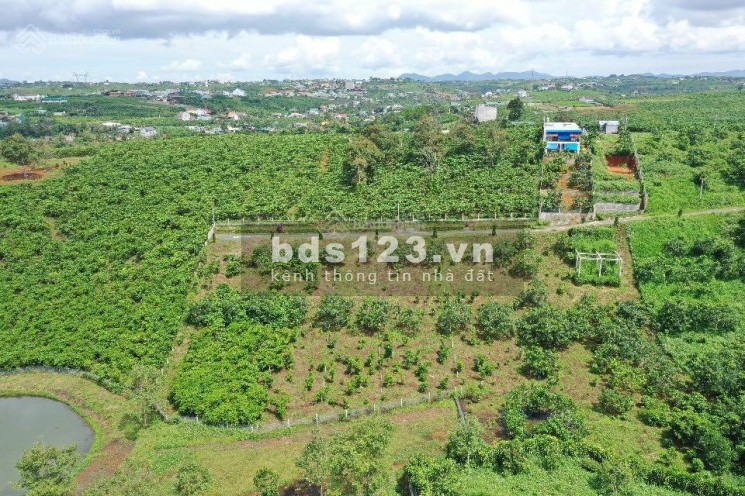 Cần tiền xây nhà bán gấp lô đất gần mặt đường Quốc Lộ 20
