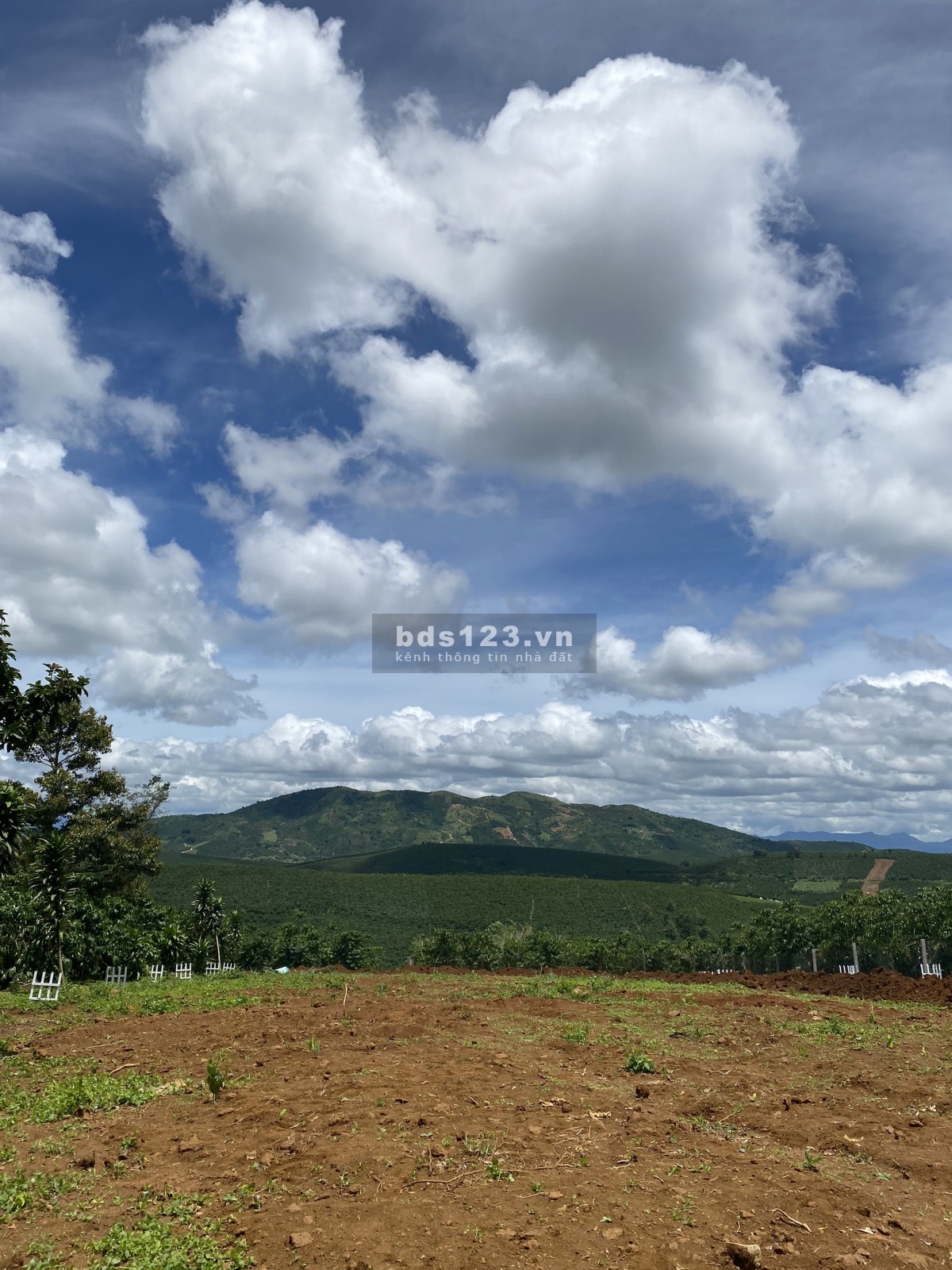 Bán lỗ 100m2 đất thổ cách Coopmart Bảo Lộc 10km SHR chỉ 400trieu