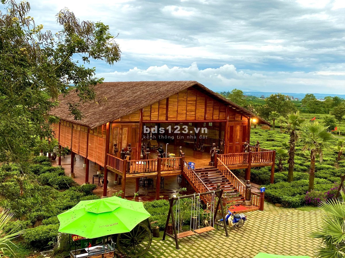 THE OCHA đất biệt thự nghĩ dưỡng Bảo Lộc liên hệ 0365555667