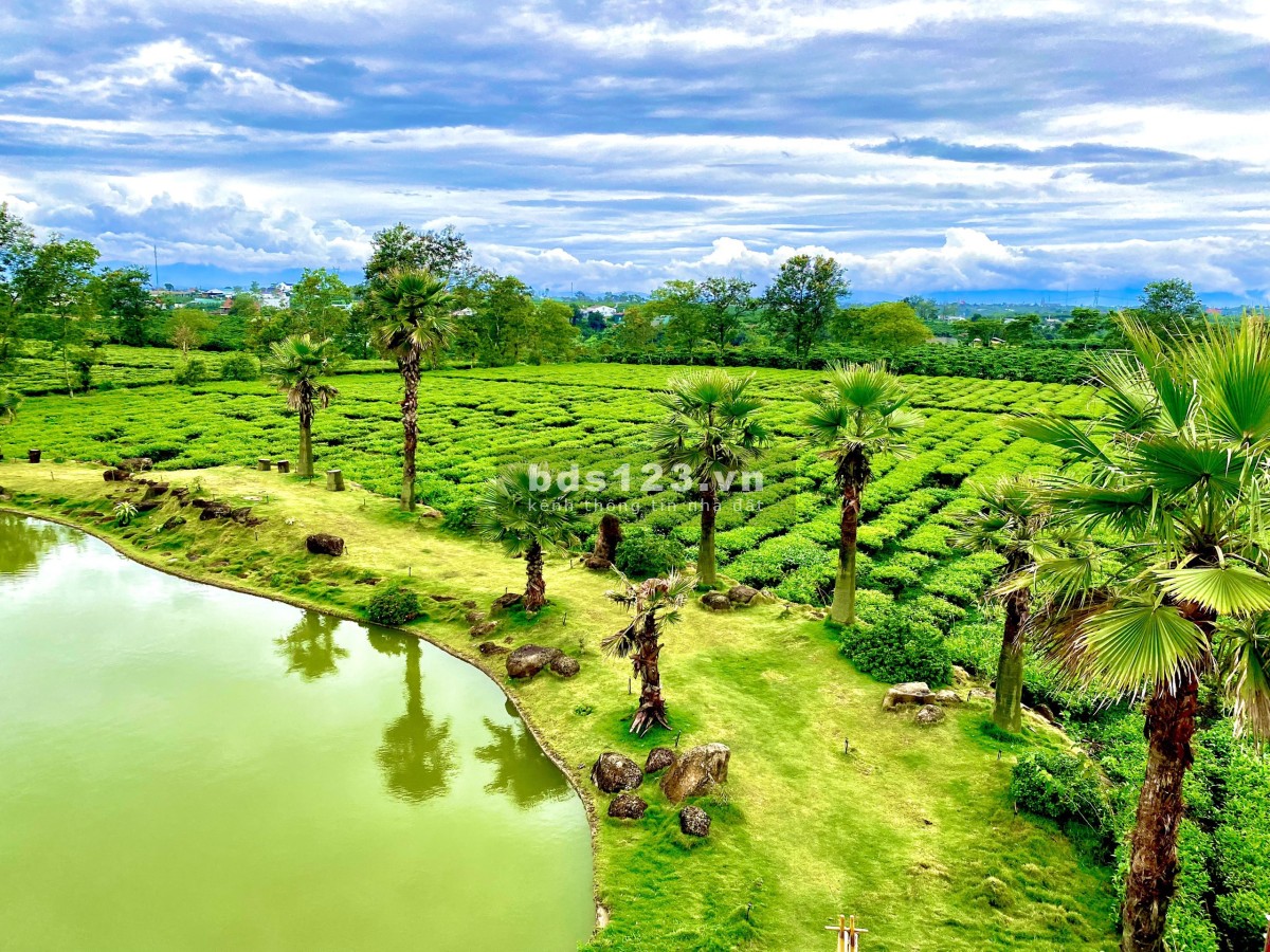 THE OCHA đất biệt thự nghĩ dưỡng Bảo Lộc liên hệ 0365555667