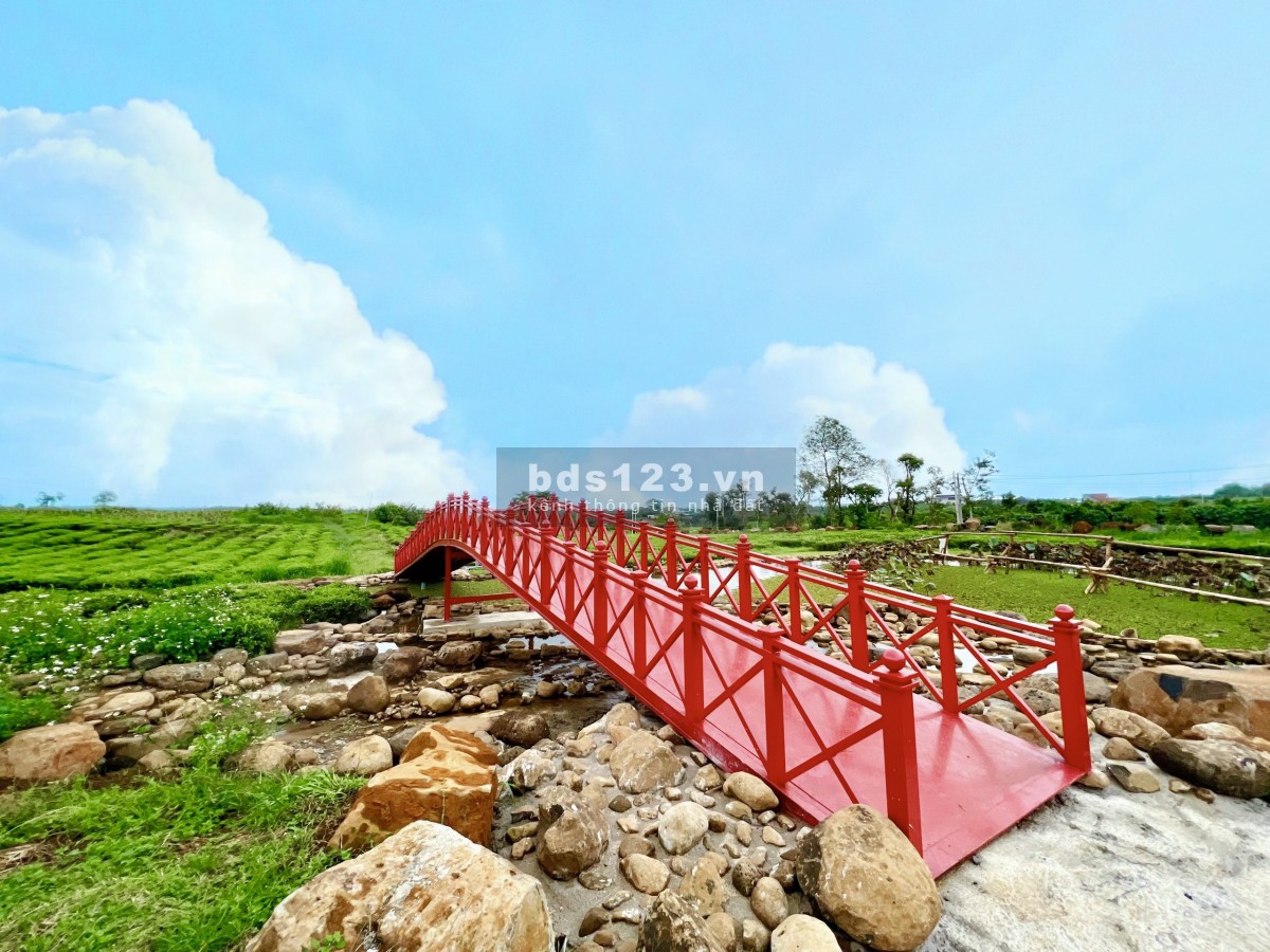 THE OCHA đất biệt thự nghĩ dưỡng Bảo Lộc liên hệ 0365555667