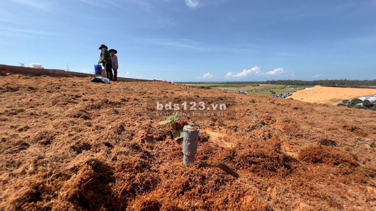 Đất Tuy Phong, Bình Thuận 300-500k/m2 view biển, có sẵn sổ