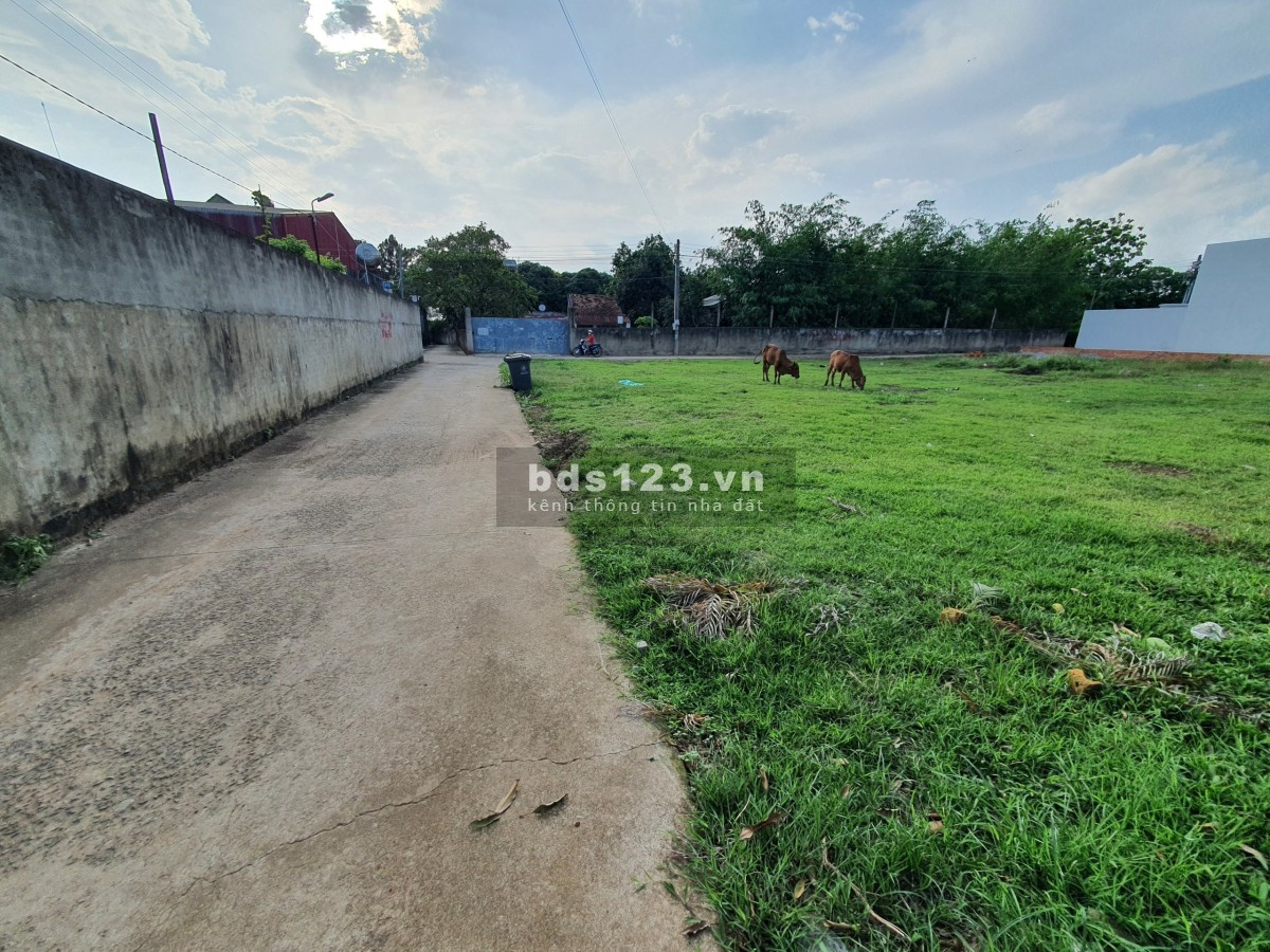 Mở bán lô đất nền, KCN Dầu Giây giá rẻ, sinh lời, pháp lý rõ ràng