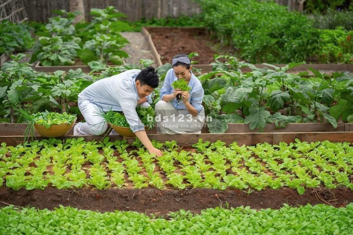 Đất nền nghỉ dưỡng Lâm Đồng 169m2 SHR 600 triệu thích hợp xây nhà vườn.