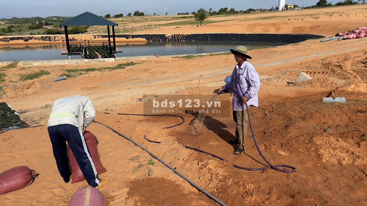 Đất Tuy Phong, Bình Thuận 300-500k/m2 view biển, có sẵn sổ