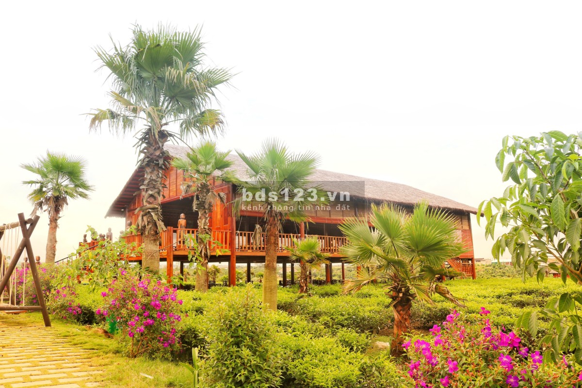 The Ocha đất biệt thự nghĩ dưỡng cao cấp Bảo Lộc, đường lớn, giá tốt