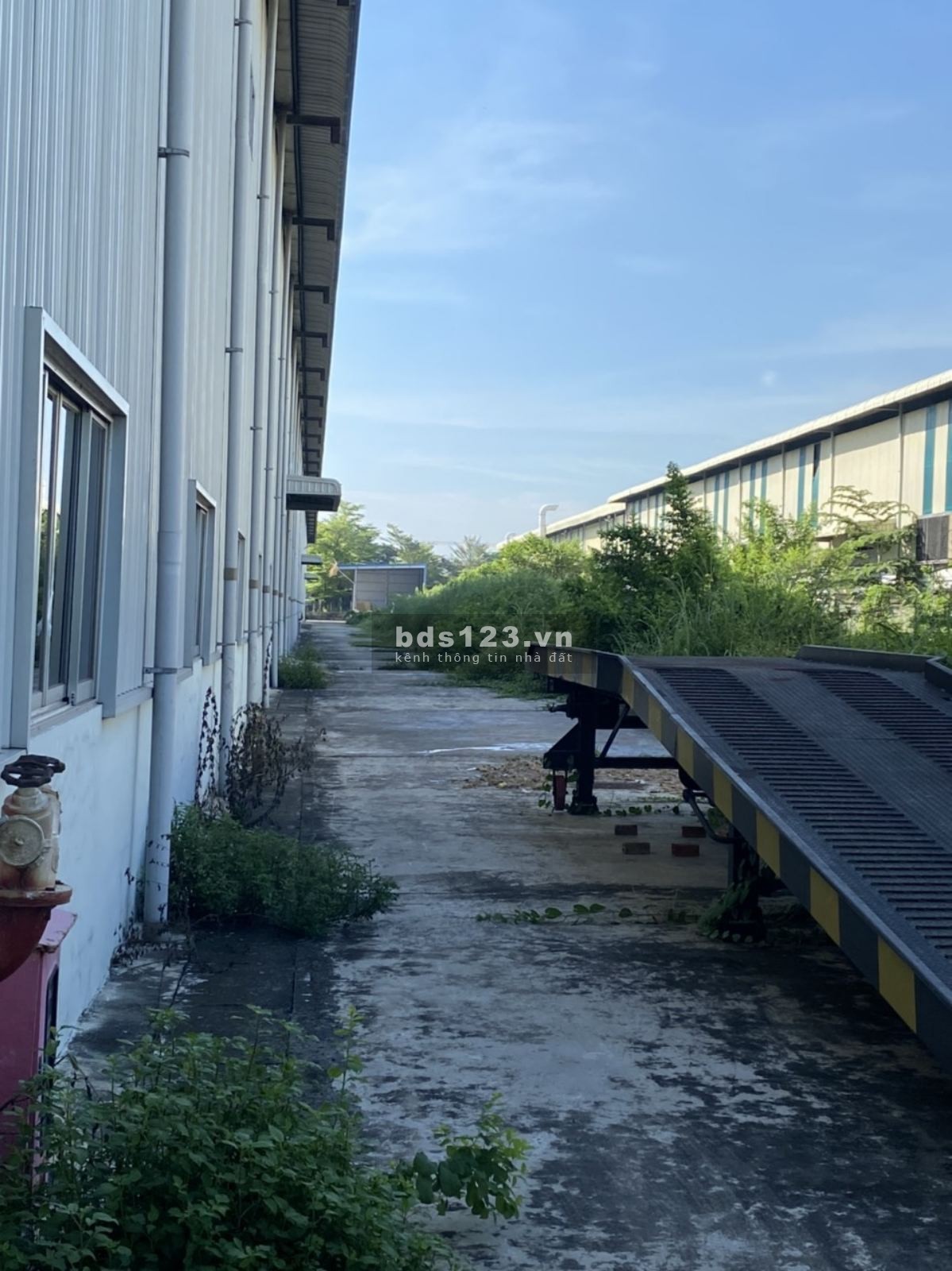 Cho thuê kho dt 10.500m2 KCN Tân Đức, Đức Hoà Hạ, Đức Hoà,…