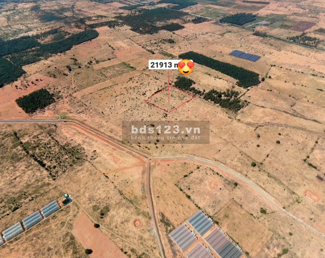 Bán đất trồng cây 21913m2, sổ đỏ, 3 mặt tiền, Hoà Thắng, Bắc Bình, Bình Thuận