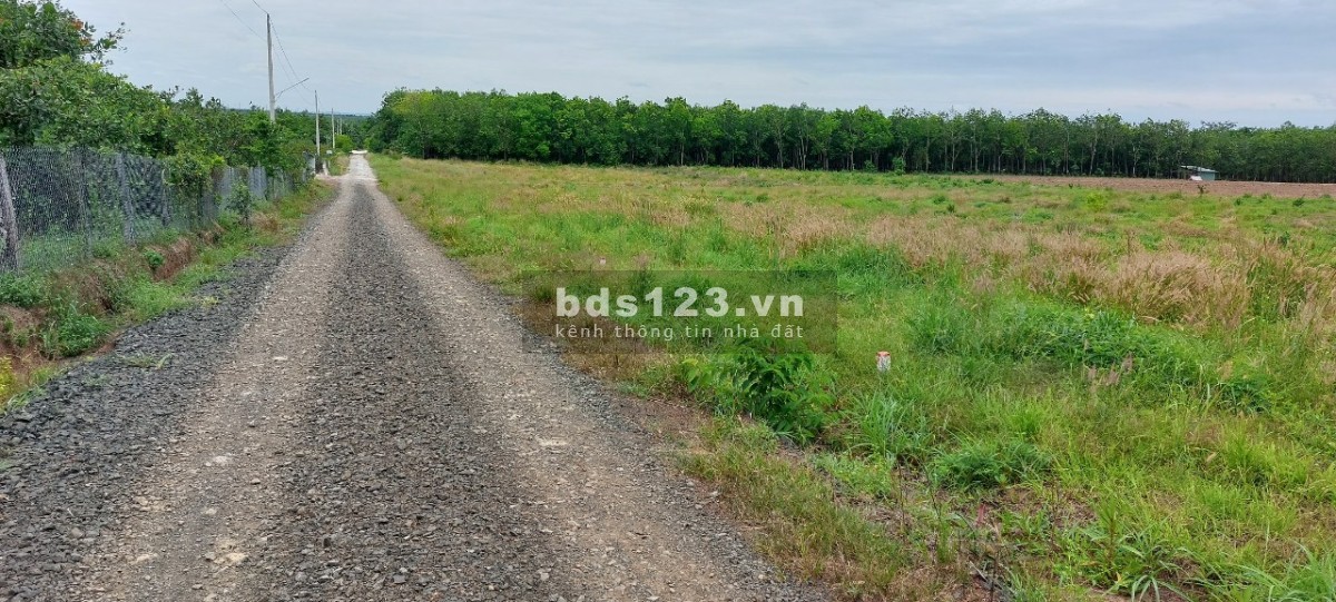 Cần nhượng lô đất sào Bình Phước chỉ 359tr, đã có sổ hồng riêng, vị trí gần cụm KCN hiện hữu