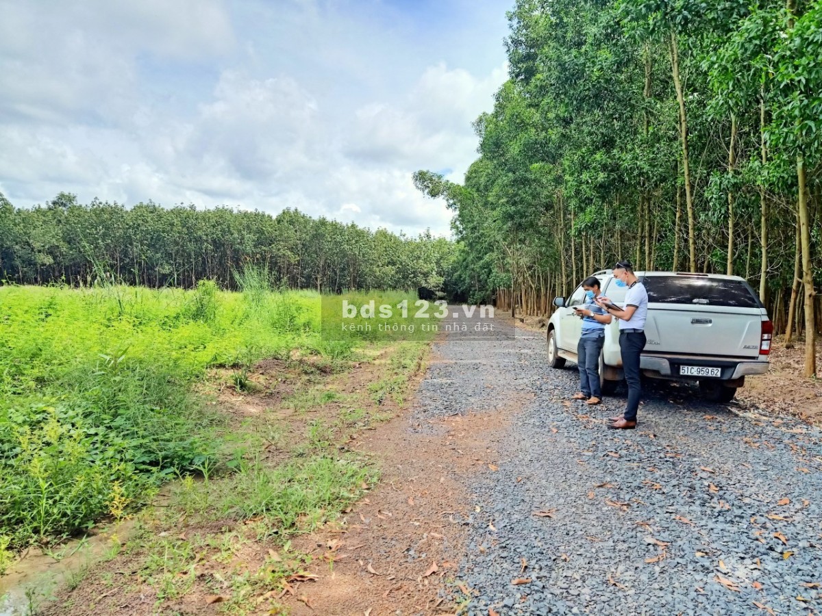 Cần nhượng lô đất sào Bình Phước chỉ 359tr, đã có sổ hồng riêng, vị trí gần cụm KCN hiện hữu
