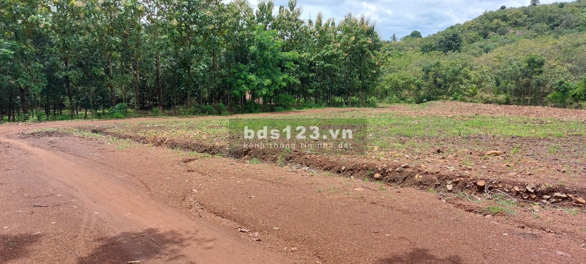 Bán đất sào giá rẻ Lộc Ninh Bình Phước 1047m2 ngang 23m sổ hồng có sẵn gần KCN Hoa Lư