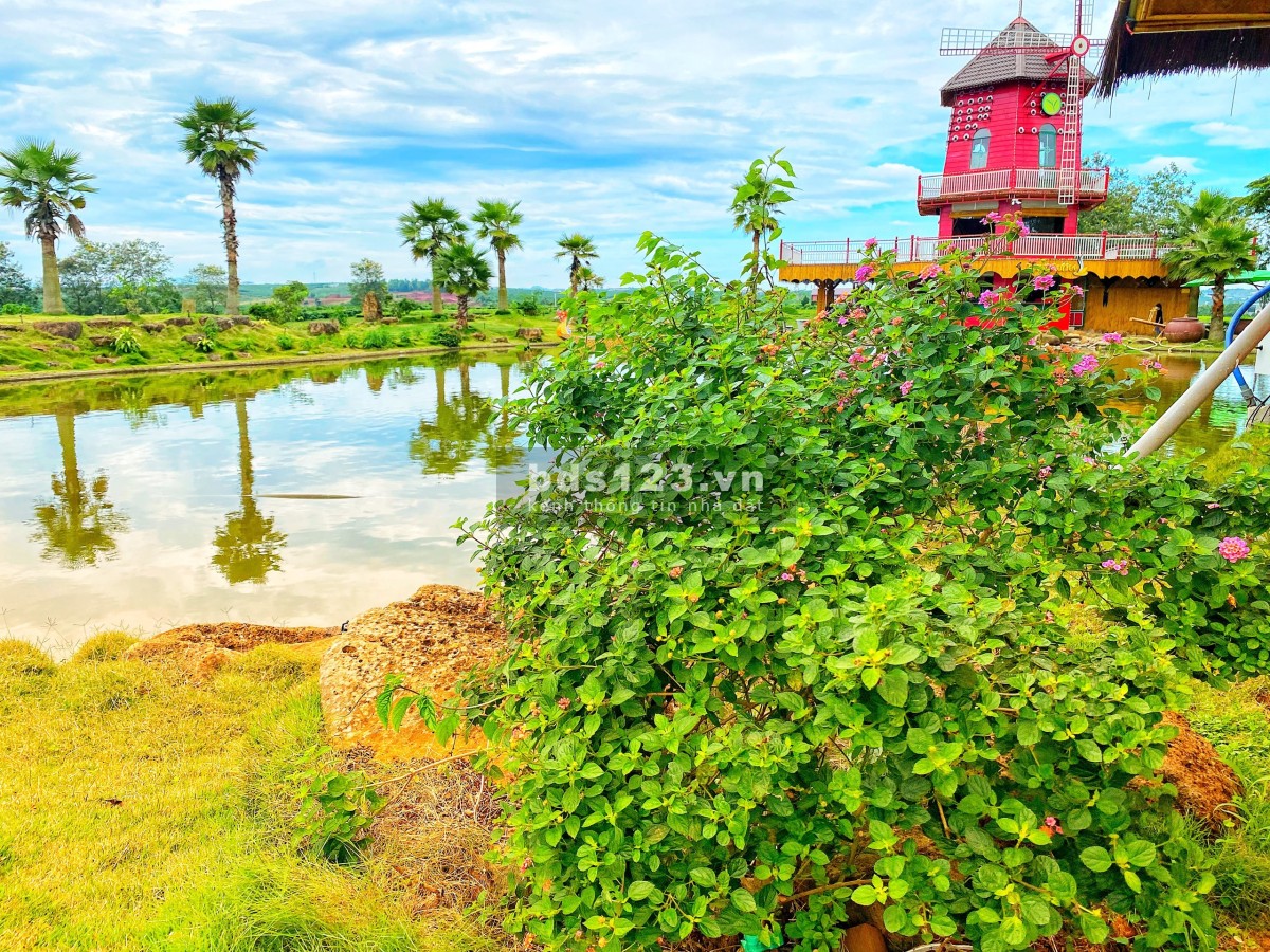 The Ocha đất nghỉ dưỡng cao cấp Bảo Lộc, liên hệ 0365555667