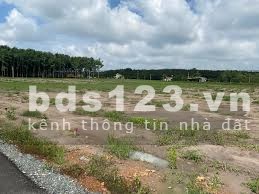 Đất thổ cư sổ sẳn Bình Phước thổ cư 100m pháp lý chuẩn