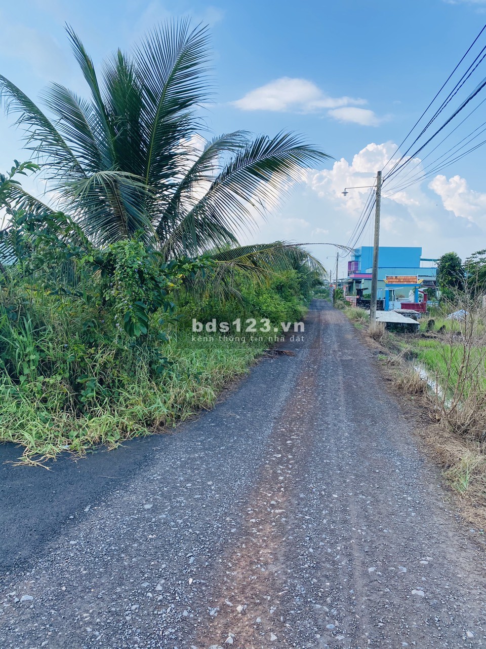 Bán đất full thổ, SHR gần KDC hiện hữu, nhiều tiện ích xung quanh, xã Long Khê, Cần Đước, Long An.