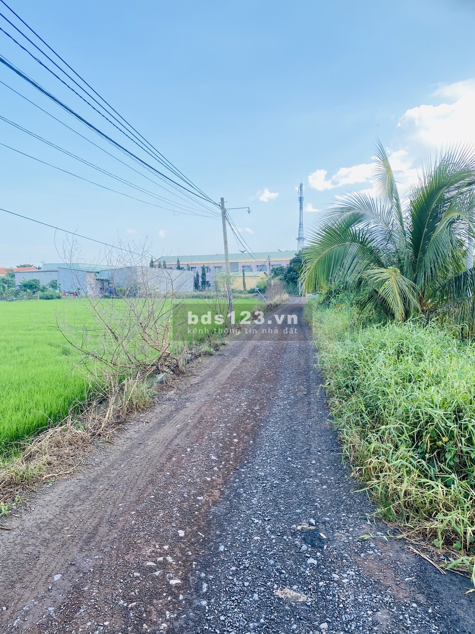 Bán đất full thổ, SHR gần KDC hiện hữu, nhiều tiện ích xung quanh, xã Long Khê, Cần Đước, Long An.