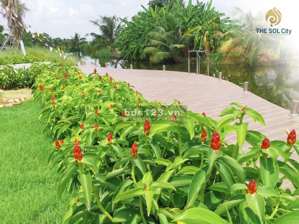 Ở đây không bán lỗ! Em đang hỗ trợ anh chị đầu tư đúng thời điểm tại The Sol City!