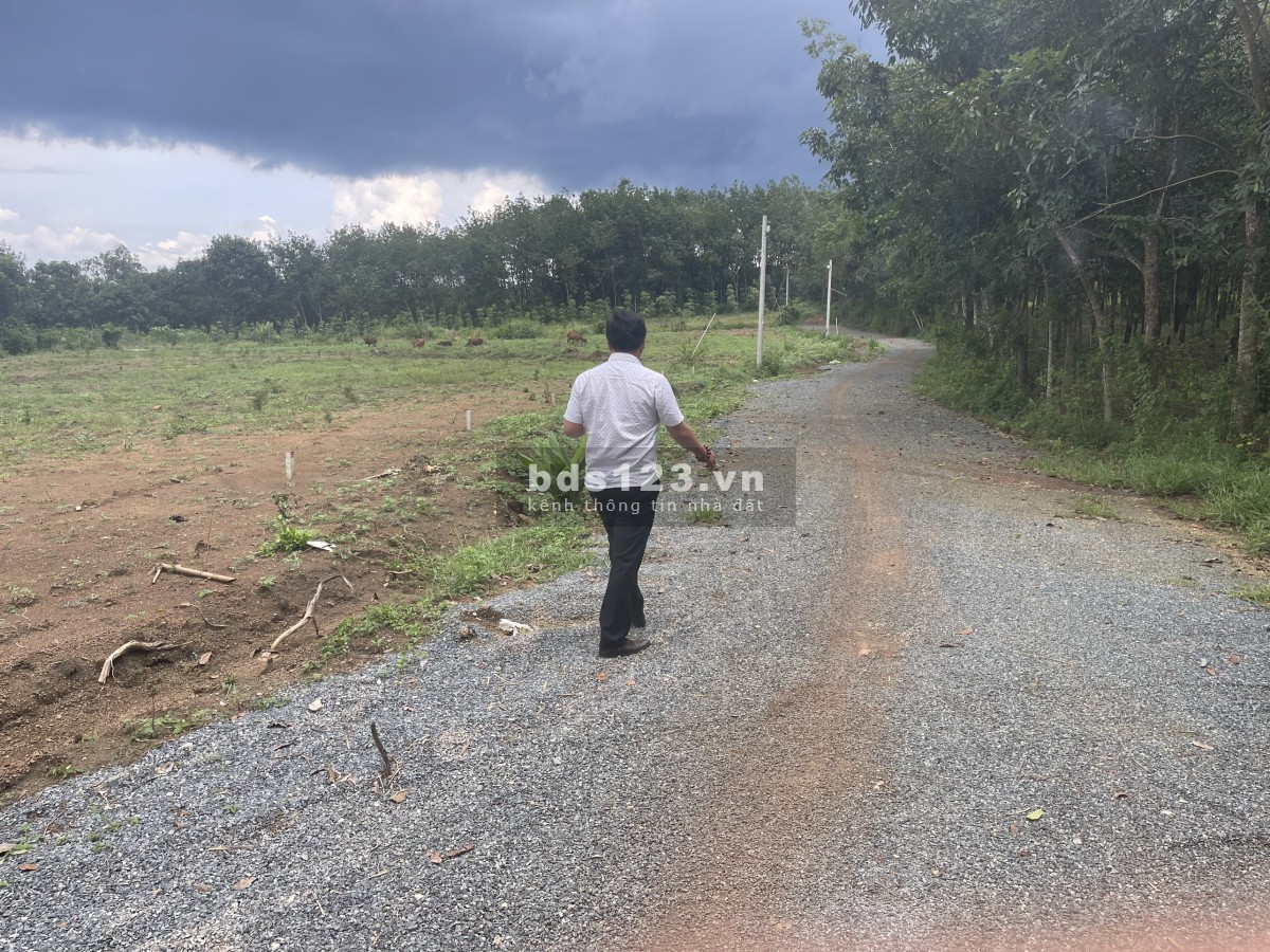 Đất thổ cư sổ sẳn Bình Phước thổ cư 100m pháp lý chuẩn