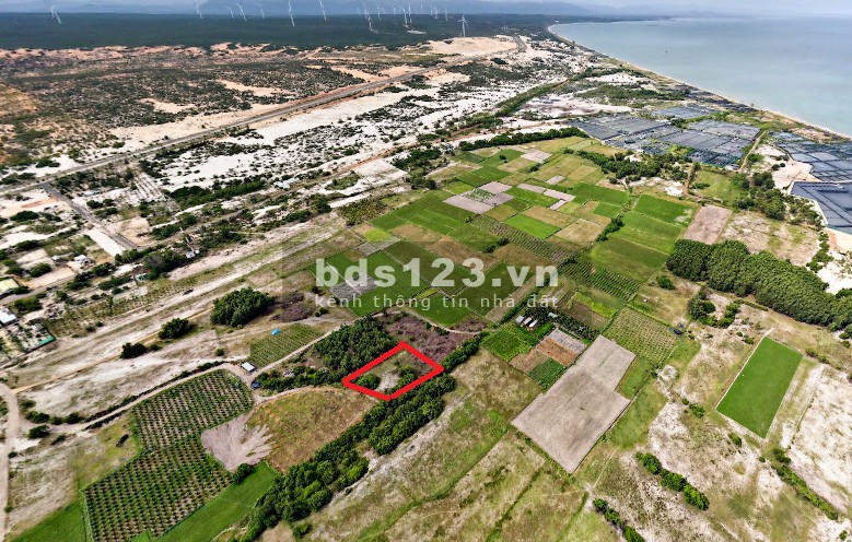 Bán đất vườn,cách biển Hoà Thắng,BThuận 800m,sổ đỏ,890m2,giá 1,85 tỷ