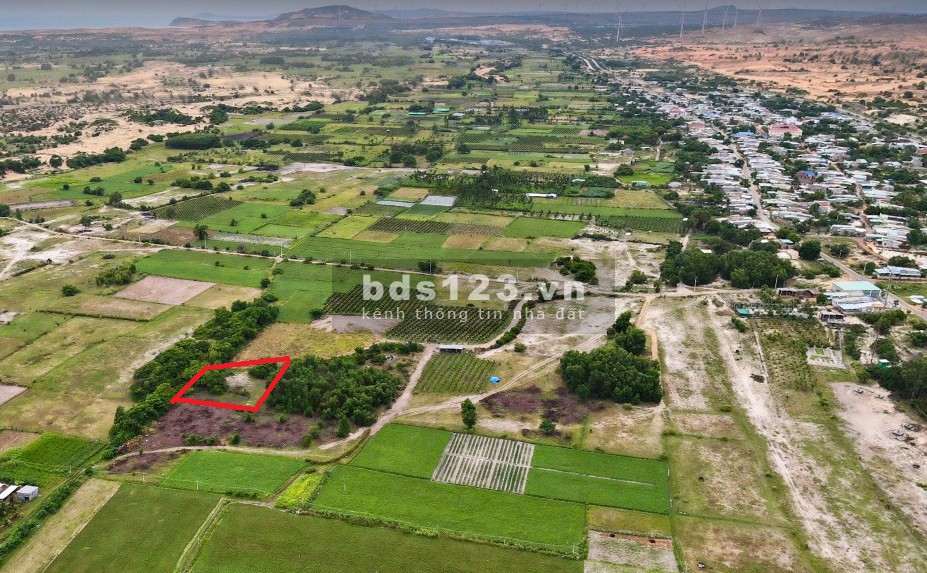 Bán đất vườn,cách biển Hoà Thắng,BThuận 800m,sổ đỏ,890m2,giá 1,85 tỷ