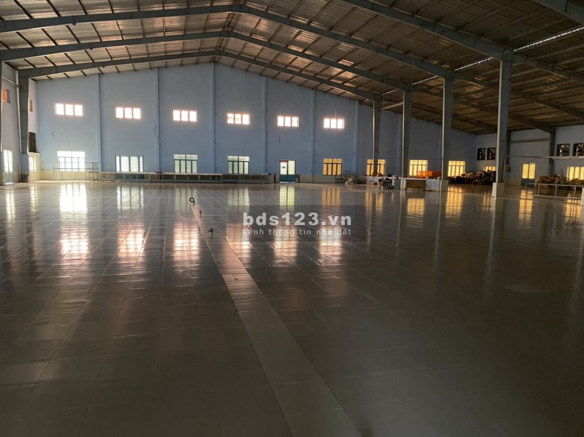 Giá rẻ! Cho thuê 2000m2 kho đường Mỹ Hạnh, Mỹ Hạnh Bắc, Đức Hoà, Long An.