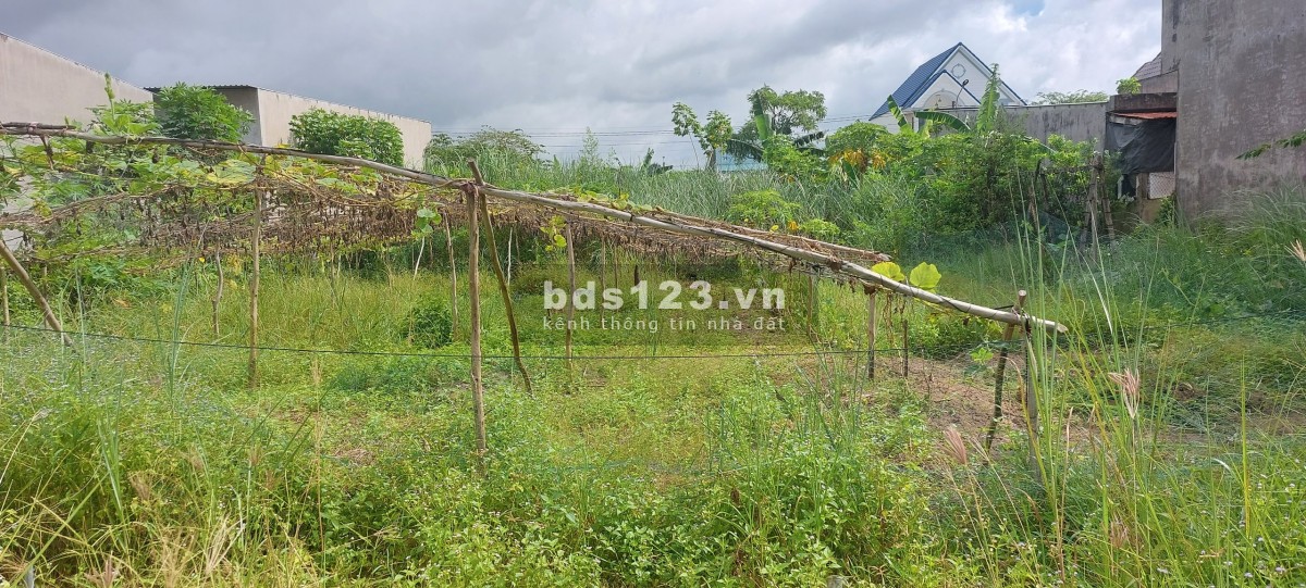 Bán đất thổ cư Đường Nguyễn Huệ, Chợ Đầu Mối Trái Cây Mỹ Hiệp, Cao Lãnh, tỉnh Đồng Tháp. Gía 730tr.