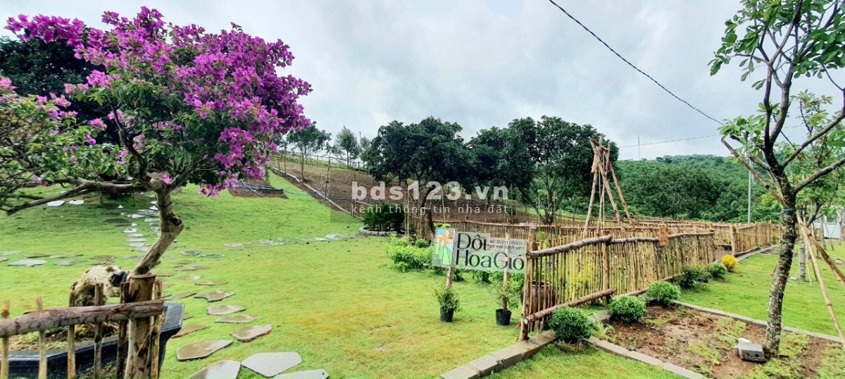 Đất nền dự án làng du lịch sinh thái Đồi hoa gió Bảo Lộc