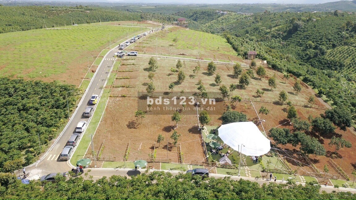 Đất nền dự án làng du lịch sinh thái Đồi hoa gió Bảo Lộc