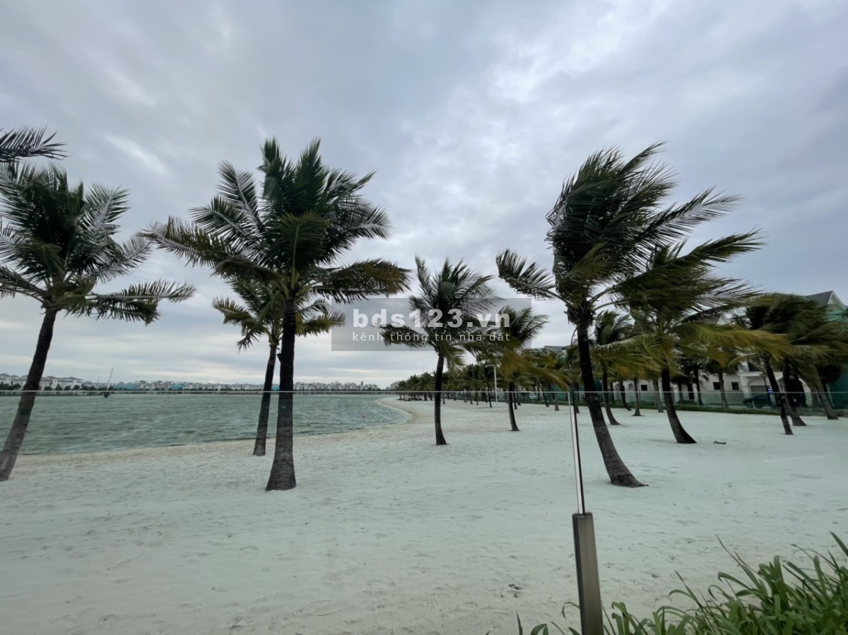 Bán biệt thự đơn lập Hải Âu 01 282m² Full NT giá 69 tỷ, Vinhomes Ocean Park Gia Lâm 0985941715