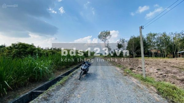 Cần bán gấp lô đất nền Gò Dầu Tây Ninh, giá rẻ 580 Triệu/Nền