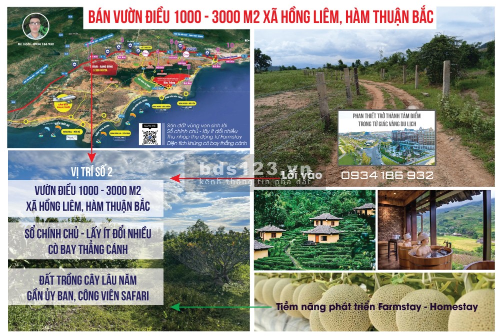 Bán đất vườn miễn thuế, chuyển đổi tự do giá tốt đầu tư