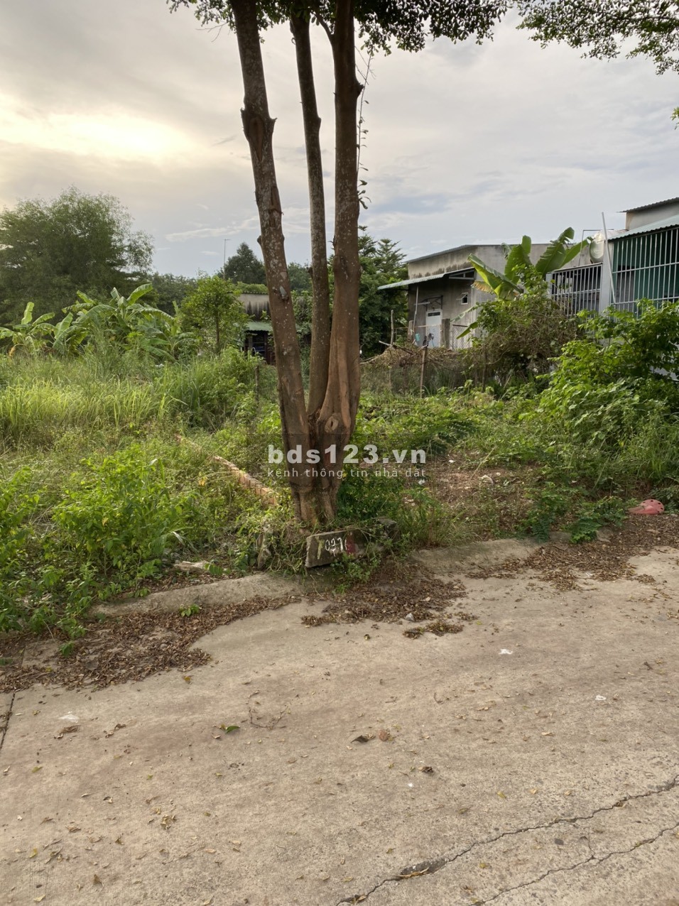 Bán đất Bình Dương. Về quê ở nên cần bán gấp lô đất 100m2 (5x20) vị trí đẹp đối diện khu đô thị MP4