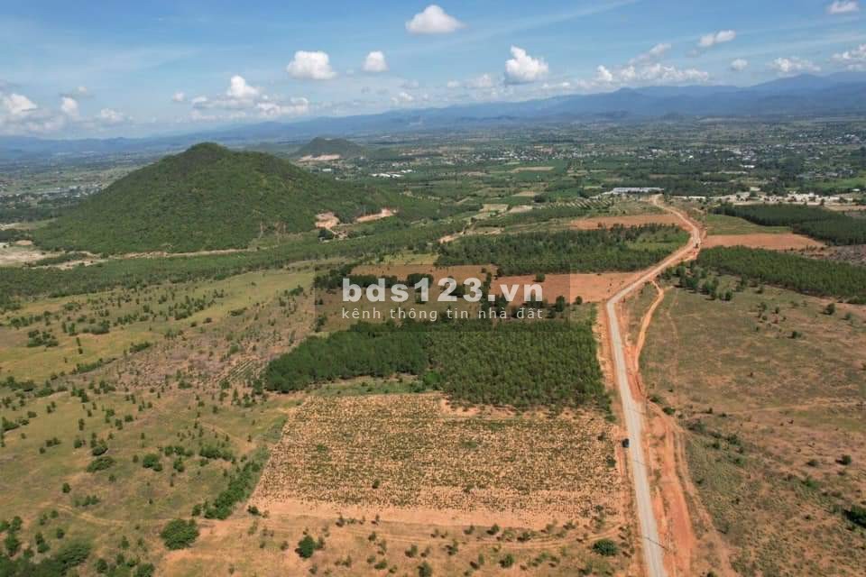 Bán đất vườn miễn thuế, chuyển đổi tự do giá tốt đầu tư