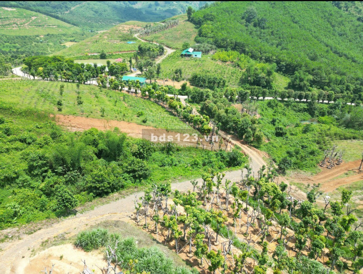 Bán 14ha đất rừng time sử dụng 50năm mặt tiền 1km đường bê tông vị trí đẹp. LH:0972258770 - Phượng