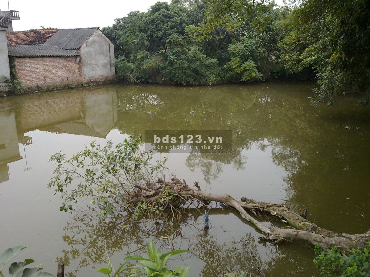 Chính chủ bán đất ao ở thôn Cựu Vân Từ Phú Xuyên Hà Nội