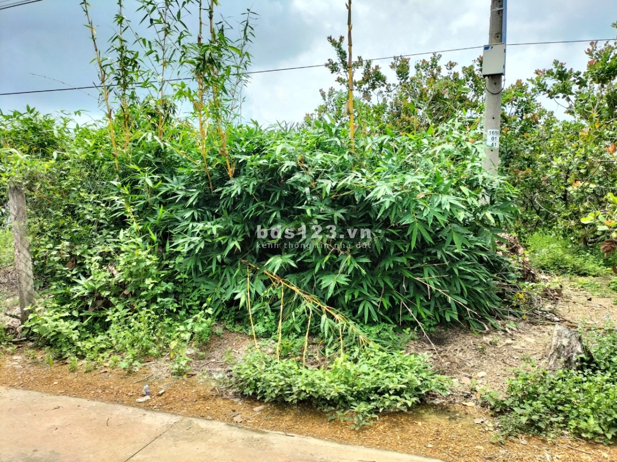 Bán đất Thổ Cư + Vườn Sổ đỏ chính chủ giá tốt khu dân cư đông đúc